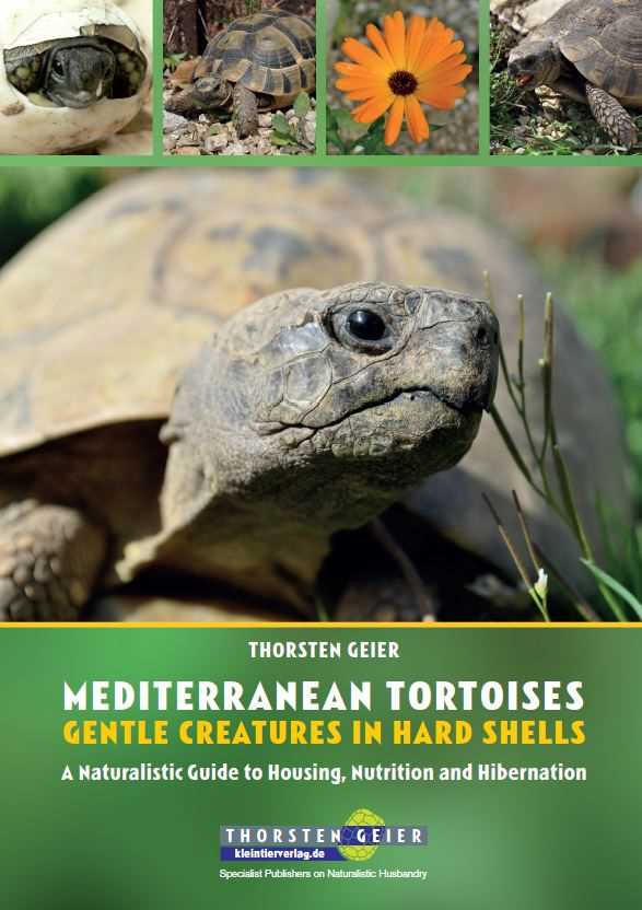Mediterranean Tortoises - Gentle Creatures in Hard Shells
