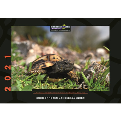 Schildkröten-Kalender 2021  - Schildkröten-Kalender 2021