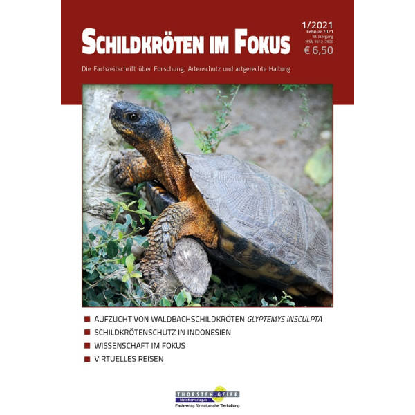 Schildkröten im Fokus - Ausgabe 1/2021