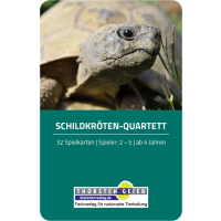Schildkröten-Quartett