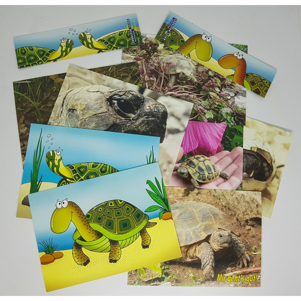 Set aus 8 Postkarten + 2 Lesezeichen - Motiv Schildkröte