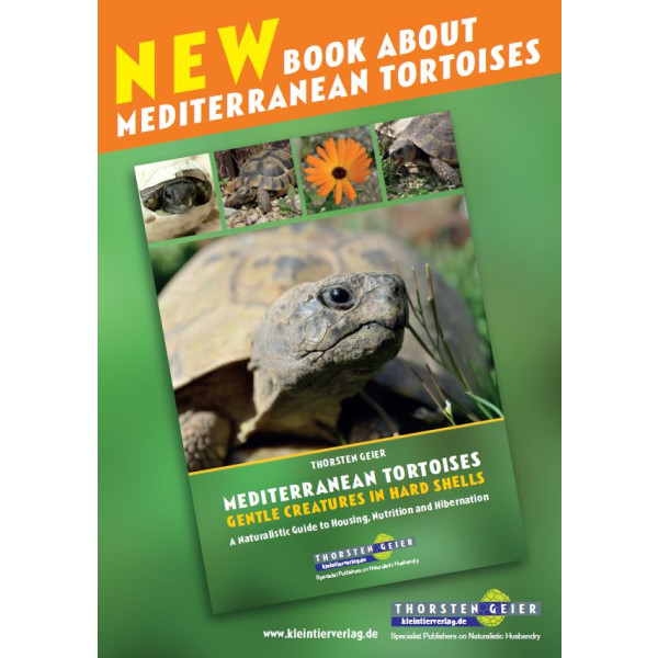 Mediterranean Tortoises: Gentle Creatures in Hard Shells
