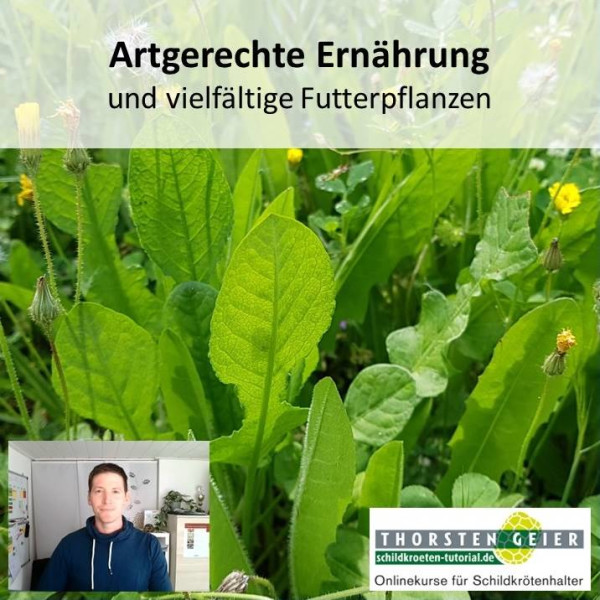 Onlinekurs "Artgerechte Ernährung und vielfältige Futterpflanzen"
