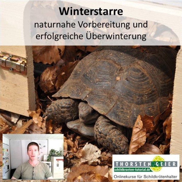 Onlinekurs "Winterstarre - naturnahe Vorbereitung und erfolgreiche Überwinterung"