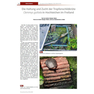 Schildkröten im Fokus - Ausgabe 2/2025