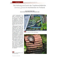 Schildkröten im Fokus - Ausgabe 2/2025