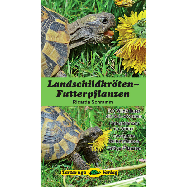 Landschildkröten-Futterpflanzen (Ricarda Schramm)