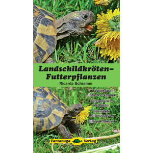 Landschildkröten-Futterpflanzen (Ricarda Schramm)