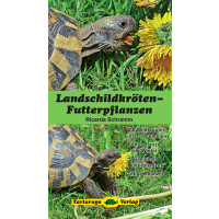 Landschildkröten-Futterpflanzen (Ricarda Schramm)
