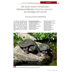 Schildkröten im Fokus - Ausgabe 4/2025