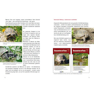 Achtung, Schildkröte! Ein kostenloser und kompakter Ratgeber über die Haltung Europäischer Landschildkröten