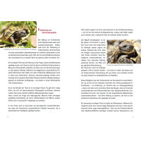 Achtung, Schildkröte! Ein kostenloser und kompakter Ratgeber über die Haltung Europäischer Landschildkröten