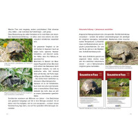 Achtung, Schildkröte! Ein kostenloser und kompakter Ratgeber über die Haltung Europäischer Landschildkröten