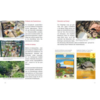Achtung, Schildkröte! Ein kostenloser und kompakter Ratgeber über die Haltung Europäischer Landschildkröten