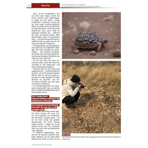 Schildkröten im Fokus - Ausgabe 1/2026