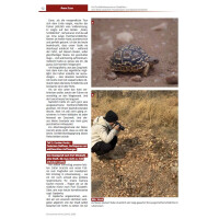 Schildkröten im Fokus - Ausgabe 1/2026