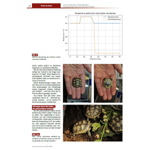 Schildkröten im Fokus - Ausgabe 2/2026