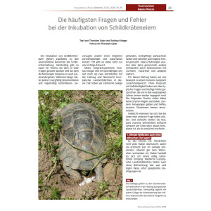 Schildkröten im Fokus - Ausgabe 2/2026