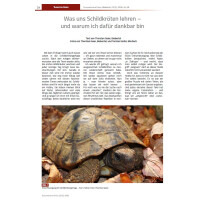 Schildkröten im Fokus - Ausgabe 2/2026