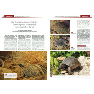 Schildkröten im Fokus - Ausgabe 4/2018