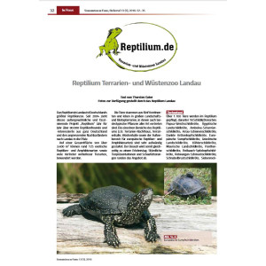 Schildkröten im Fokus - Ausgabe 1/2016